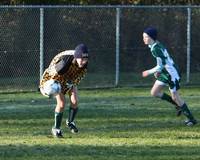 8321 Wasabi GU12 120509