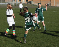 8329 Wasabi GU12 120509