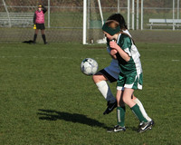 8337 Wasabi GU12 120509