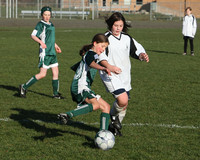 8338 Wasabi GU12 120509