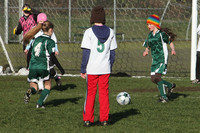 8357 Wasabi GU12 120509