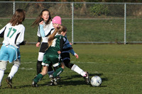 8361 Wasabi GU12 120509