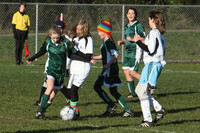 8365 Wasabi GU12 120509