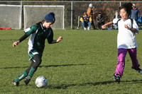 8375 Wasabi GU12 120509