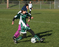 8377 Wasabi GU12 120509