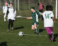 8378 Wasabi GU12 120509