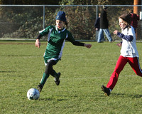 8387 Wasabi GU12 120509