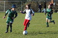 8388 Wasabi GU12 120509