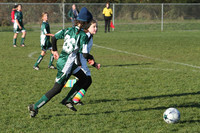 8391 Wasabi GU12 120509