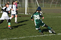 8392 Wasabi GU12 120509