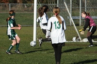 8393 Wasabi GU12 120509