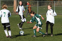 8402 Wasabi GU12 120509