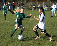 8412 Wasabi GU12 120509