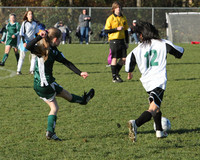 8414 Wasabi GU12 120509