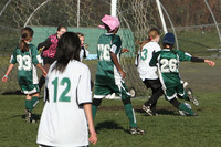 8426 Wasabi GU12 120509