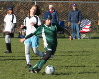 8428 Wasabi GU12 120509