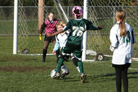 8440 Wasabi GU12 120509