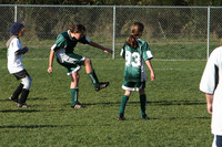 8443 Wasabi GU12 120509