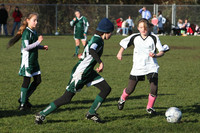 8452 Wasabi GU12 120509