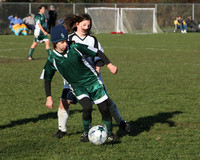 8453 Wasabi GU12 120509