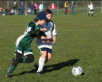 8454 Wasabi GU12 120509