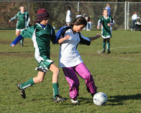 8460 Wasabi GU12 120509