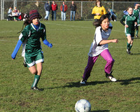 8461 Wasabi GU12 120509