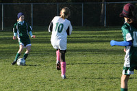 8469 Wasabi GU12 120509