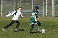 8478 Wasabi GU12 120509