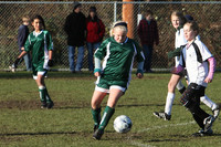 8495 Wasabi GU12 120509