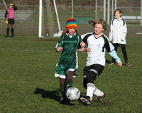 8508 Wasabi GU12 120509