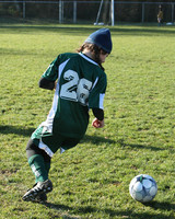 8516 Wasabi GU12 120509