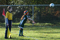 8518 Wasabi GU12 120509