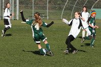 8524 Wasabi GU12 120509