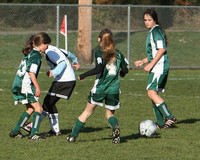 8525 Wasabi GU12 120509