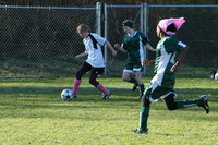 8539 Wasabi GU12 120509