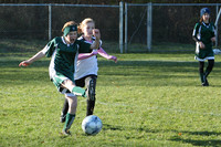 8551 Wasabi GU12 120509