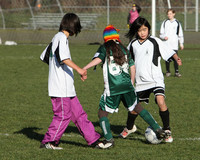 8569 Wasabi GU12 120509