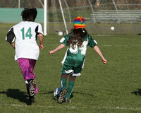 8570 Wasabi GU12 120509