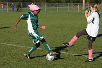 8572 Wasabi GU12 120509