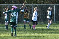 8592 Wasabi GU12 120509