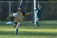 8597 Wasabi GU12 120509