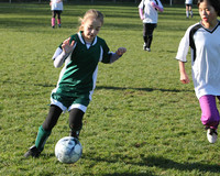 8600 Wasabi GU12 120509